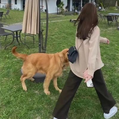 黑井